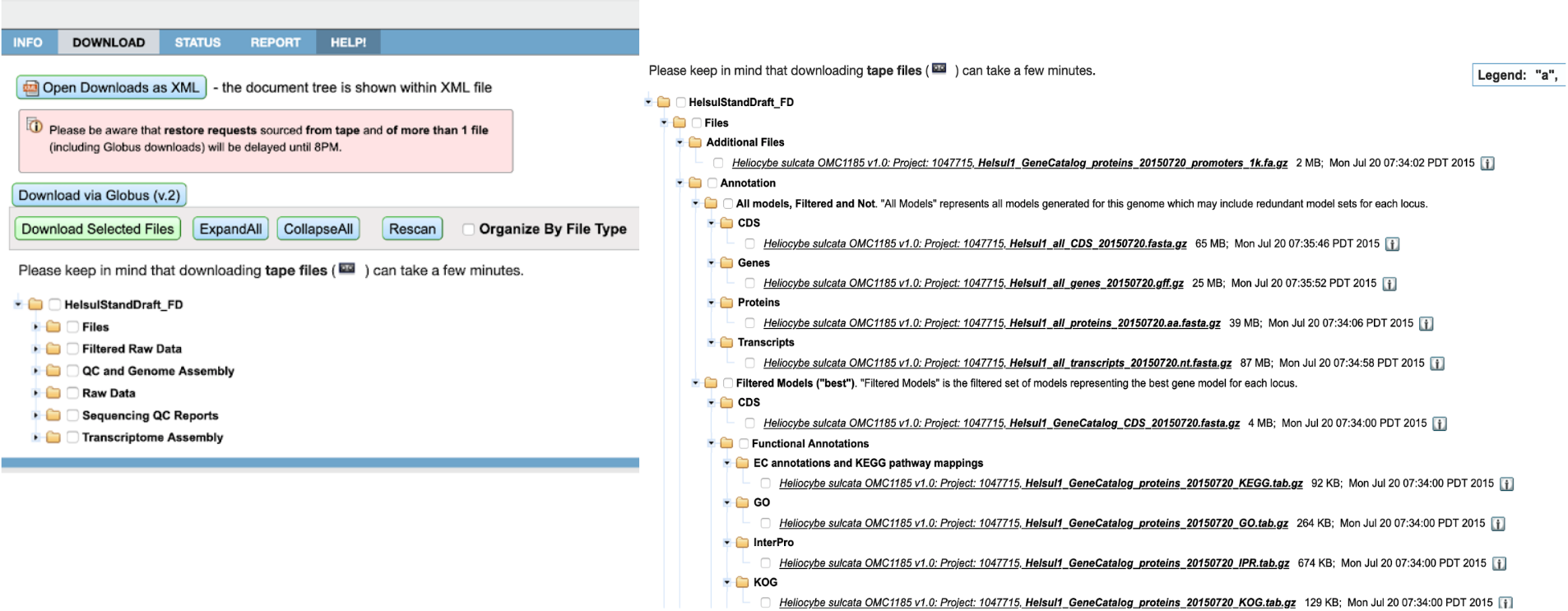 Before: a look of the Genome Portal